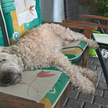 Windecker Laendchen *